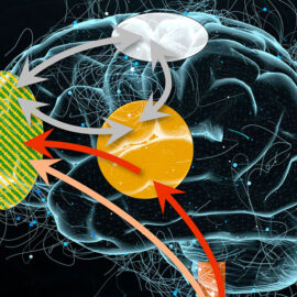 El impacto de la emoción en las decisiones