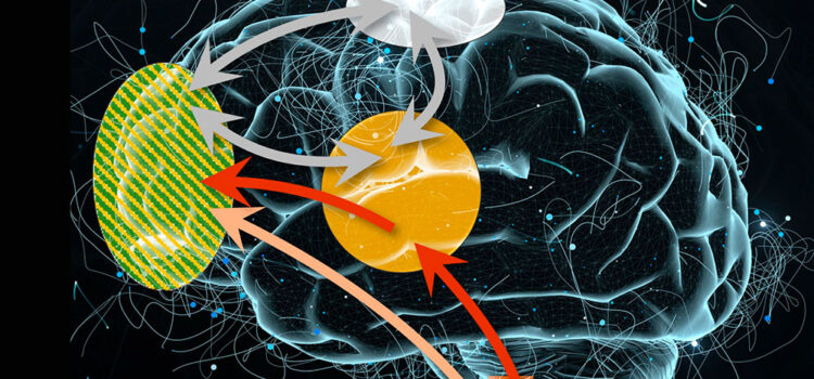 El impacto de la emoción en las decisiones